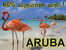 வருமானத்தில் 60% பணத்தை வரியாகப் பிடுங்கும் அருபா..!