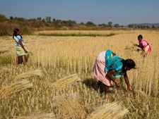 இந்தியாவில் 500 கிராமங்களைத் தத்தெடுக்கும் என்ஆர்ஐ-கள்..! 