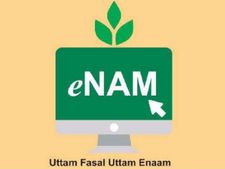 இஎன்ஏஎம் (eNAM) வெப்சைட்டை பற்றி உங்களுக்குத் தெரியுமா ? 