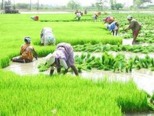 விவசாயிகளுக்கு வீட்டுக் கடன் வழங்கும் தமிழக நிறுவனம். சல்யூட்!