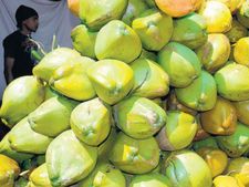 ஐடி வேலையை உதறி தள்ளி இளநீர் விற்கும் மணிகண்டன்..! 
