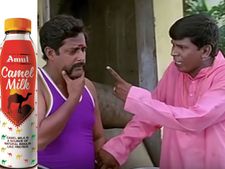 ஒட்டகப்பால்ல டீ போடு என்று வடிவேலு தைரியமாக கடைகளில் கேட்கலாம் -  விலை கொஞ்சம் அதிகம்தான் 
