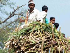 “விவசாய மானியங்களை நிறுத்து” இந்தியா மீது வழக்கு தொடுத்த ஆஸ்திரேலியா & பிரேசில்..! 