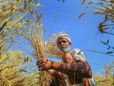 விவசாயிகளை ஆதரிக்க இறக்குமதி வரி 10% அதிகரிப்பு.. மகிழ்ச்சியில் விவசாயிகள்