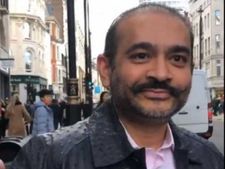 கவலையில்  நிரவ் மோடி.. செல்ல நாயை பார்க்க ஜாமீன் வேணும்? மறுத்த நீதிமன்றம் 