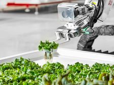 100% ரோபோ விவசாயம் செய்த காய்கறிகள் சந்தைக்கு வருகின்றன..! இனி மனித விவசாயம்..? 