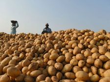விவசாயிகளோடு பிரச்னை வேண்டாம், வழக்கை வாபஸ் வாங்குகிறோம்..! பின்வாங்கிய Pepsico..! 