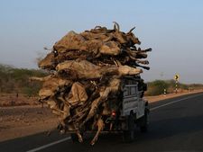 தண்ணி இல்லாம எங்க வீட்டு குலசாமி அங்க கருவாடா வண்டீல போகுதுய்யா..! கதறும் விவசாயிகள்..! #Water