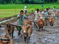 விவசாயிகளின் தேவைக்கேற்ப பயிர்காப்பீட்டு திட்டம் - மத்திய அரசு மாற்றம்