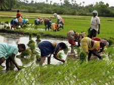 விவசாயிகளுக்கு பெரிய வங்கிகள் வேண்டுமா அல்லது கிராமங்களில் வங்கிக் கிளைகள் வேண்டுமா..? 