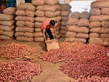 600 மில்லியன் டாலர் வெங்காய ஏற்றுமதிக்குத் தடை..! 