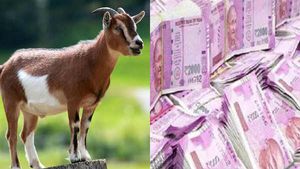 ஒரு ஆட்டால் ரூ.2.68 கோடி நஷ்டம்.. அதுவும் 3.5 மணி நேரத்துல.. கடுப்பில் கோல் இந்தியா! 