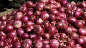 கண்ணீரை வர வைக்கும் வெங்காயத்தின் விலை.. கிலோ ரூ.100 – 150.. கவலையில் இல்லதரசிகள்..! 