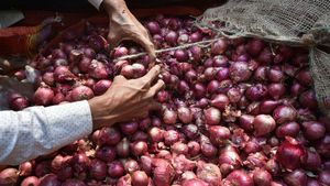 வரலாறு காணாத வெங்காய விலை.. கிலோ ரூ.200-ஐ தொட்ட அவலம்..! 
