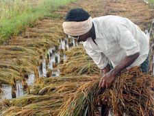 சாமானியர்களுக்கு என்ன சலுகை.. நிதியமைச்சர் என்ன சொல்கிறார்..! 