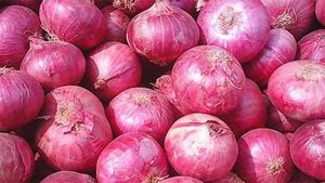 மீண்டும் இமாலய உச்சத்தை தொட்ட வெங்காயத்தின் விலை.. கவலையில் இல்லத்தரசிகள்..! 