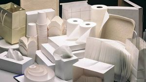 இந்தியாவின் பேப்பர் பொருட்கள் கம்பெனி பங்குகள் விவரம்! 