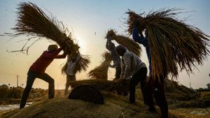 30 ஆண்டுகளுக்கு பின் இந்தியாவிடம் இருந்து அரிசி இறக்குமதி செய்ய சீனா முடிவு