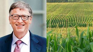 பில் கேட்ஸ் மாஸ்டர்பிளான்.. விவசாயம் செய்ய 2.42 லட்சம் ஏக்கர் நிலம் கைப்பற்றல்.. பிரம்மாண்ட திட்டம்!