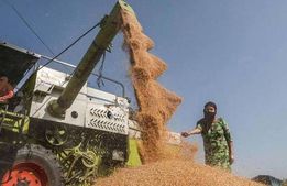 2020ல் இந்தியாவுக்கு தோள் கொடுத்த விவசாயம்.. ஏற்றுமதி 9.8% வளர்ச்சி.. மற்றவை 15.5% சரிவு..! 