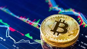 5 நாள் தொடர் வீழ்ச்சிக்கு பிறகு மீண்டும் $54,000 அருகில் பிட்காயின்.. இது வேற லெவல்..! 