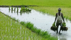 தமிழக வேளாண் பட்ஜெட் 2021:  இயற்கை வேளாண்மையை ஊக்குவிக்கும் திட்டங்கள் வெளியாகுமா..! 