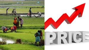 உணவு பொருட்களின் விலை உயரும் நிலை.. என்ன காரணம்..?