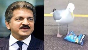 தோசை வேற லெவல்.. ஆனந்த் மஹிந்திரா போட்ட டிவீட்.. வீடியோ வைரல்..! 