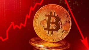  Bitcoin crash: பிட்காயின் விலை தொடர் சரிவுக்கு என்ன காரணம்..! 