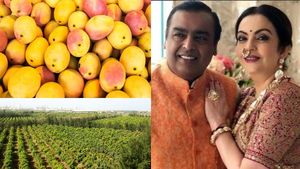 முகேஷ் அம்பானி-யின் 600 ஏக்கர் மாந்தோப்பு.. ஆசியாவிலேயே இதுதான் டாப்பு..!