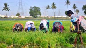 TN Budget 2022: விவசாயிகளுக்குக் காத்திருக்கும் சர்ப்ரைஸ்..?! 
