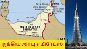 ஐக்கிய அரபு எமிரேட்ஸ் புதிய திட்டம்.. வேலை இல்லாதோருக்கு இன்சூரன்ஸ்.. இந்தியர்களுக்கு நன்மை..! 