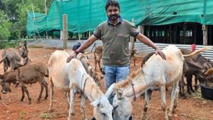 கழுதை பால் விற்பனையில் கல்லா கட்டும் ஸ்ரீநிவாஸ்.. லாபம் எவ்வளவு தெரியுமா..?! 