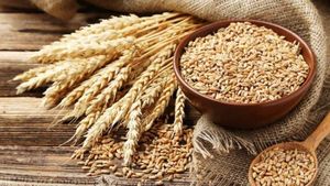 இந்திய கோதுமையை இறக்குமதி செய்யும் எகிப்து: எத்தனை லட்சம் டன்கள் தெரியுமா? 