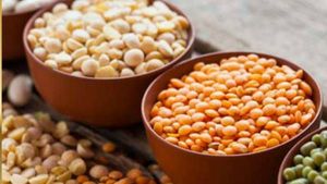 துவரம், உளுத்தம் பருப்பு விலை 15% உயர்வு.. நெல் சாகுபடி சரிவு..! 
