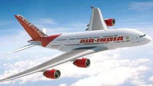 ஏர் இந்தியா விமானத்தில் சென்னை-ராஜஸ்தான் சென்ற சிறப்பு பயணி.. ஐ.ஏ.எஸ் அதிகாரியின் பதிவு