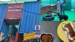 டாக்கி தாபா.. நாய்களுக்கான உணவு.. விலை ரூ.7ல் இருந்து ரூ500 வரையில்.. எங்கு தெரியுமா? 