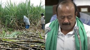 கரும்பு விவசாயிகளுக்கு பட்ஜெட்டில் இனிப்பான அறிவிப்பு.. கரும்பு டன் ஒன்றுக்கு ரூ.195 ஊக்கத் தொகை!