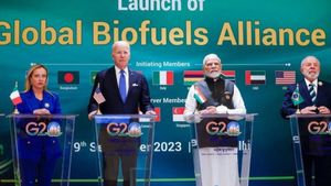 500 பில்லியன் டாலர் வாய்ப்புக்கு பிள்ளையார் சுழி போட்ட இந்தியா.. ஜி20 நாடுகள் செம ஹேப்பி..! 