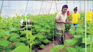 வறண்ட நிலத்தில் விவசாயத்தில் கலக்கும் முன்னாள் டெய்லர் ராம்சந்திர ரத்தோட்..! 