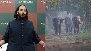 Vantara: அனந்த் அம்பானி அப்படி என்னதான் செய்கிறார்.. ஊரே இதை பத்திதான் பேச்சு..! 