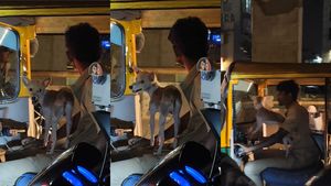பெங்களூர் ஆட்டோக்காரரின் டிரெண்டிங் வீடியோ.. டிரைவர் சீட்டில் ஒரு நாய் குட்டியா..! 