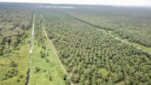 தமிழ்நாடு அரசின் மெகா திட்டம்.. 45000 ஏக்கர், இதை எதிர்பார்க்கவே இல்லையே..!! 