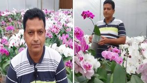 மாதம் ரூ.3 லட்சம் சம்பளம் தரும் வேலையை விட்டு நர்சரி தொடங்கியவரின் ஆண்டு வருமானம் ரூ.2 கோடி 