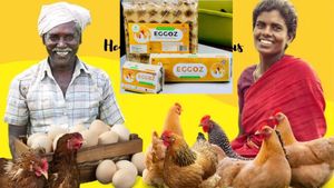 நாமக்கல் முட்டை வியாபாரிகளையே வியக்க வைத்த 3 நண்பர்கள்.. ரூ.100 கோடிக்கு பிஸ்னஸ்..!! 