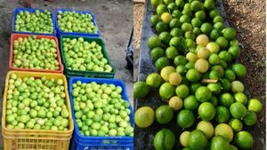 எலுமிச்சை-யில் 7 லட்சம்.. ஸ்மார்ட் ஐடியா, கைநிறைய வருமானம்..!