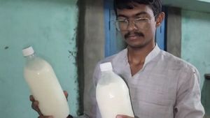 இனி கழுதை வளர்த்தே பொழச்சிக்கலாம் போலயே..கழுதை பால் ஒரு லிட்டர் இவ்ளோவா? 