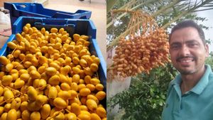 மழைநீரில் ஆர்கானிக் பேரீட்சம் பழம் சாகுபடி செய்து லட்சக்கணக்கில் சம்பாதிக்கும் முன்னாள் கமாண்டோ வீரர் 