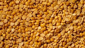 துவரம் பருப்பு விலை உயர்வுக்கு பின்னாடி இவ்வளவு விஷயம் இருக்கா..? 