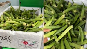  ரூ.650-க்கு விற்கப்படும் 1 கிலோ வெண்டைக்காய்.. எங்கே தெரியுமா? ஷாக் கொடுக்கும் வீடியோ!